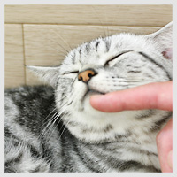 Photo: イメージ